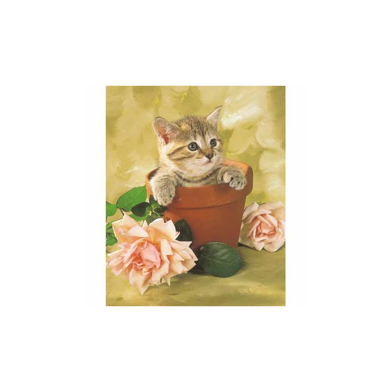 Image 3d Gk 24x30 Chaton Dans Pot