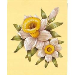 Image 3D - astro 558 - 24x30 - fleur blanc/jaune