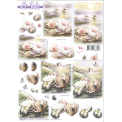 Carterie 3D Prédécoupée - Nénuphars condoléances