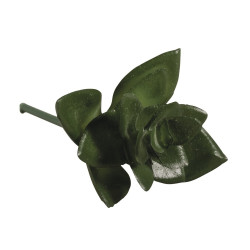 Plante Mini-Succulent "Haworthia", 5x3,5cm pour mini garden