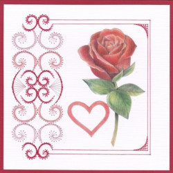 Stitch and do 85 - kit Carte 3D broderie - roses