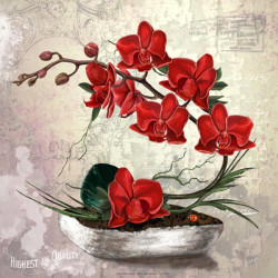 Image pour tableau 3D GK3030061 - 30X30 - Compo florale orchidées rouge 