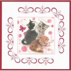 Stitch and do 100 - kit Carte 3D broderie - Petits animaux