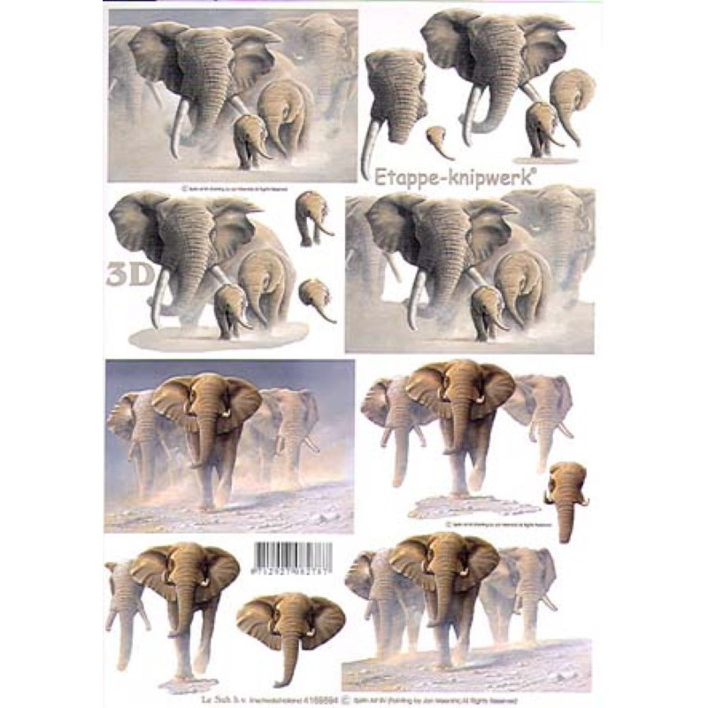 Carterie 3D A4  - Eléphants dans la poussière - 4169594