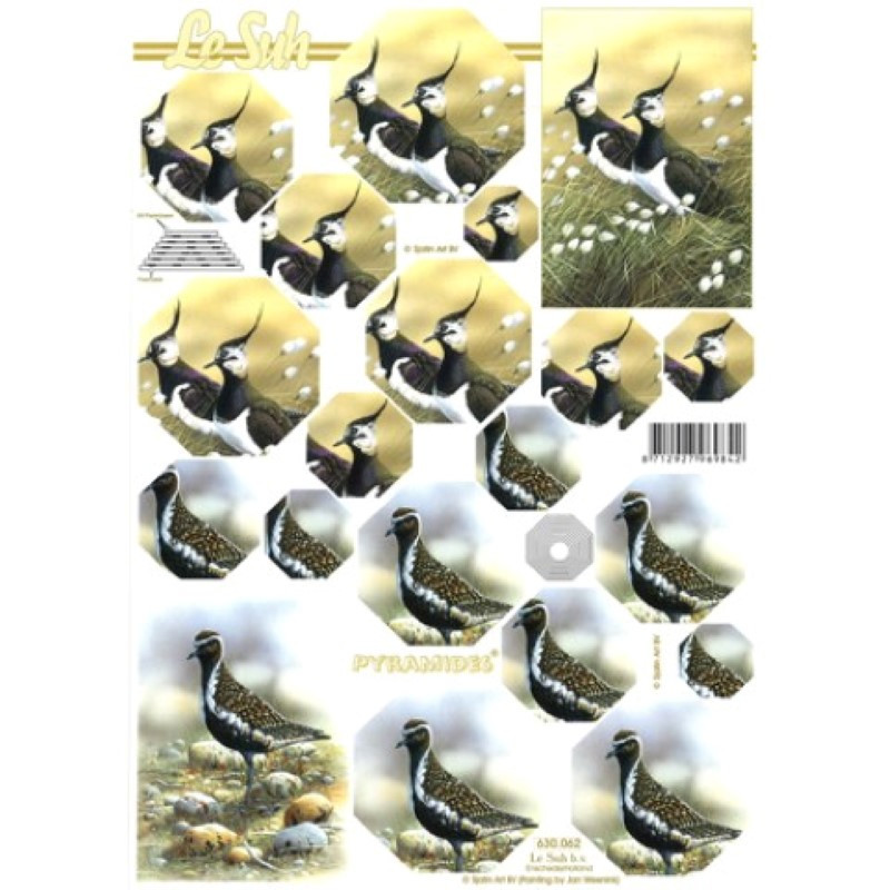 Carte 3D à découper - Oiseaux - 630062