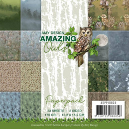 Bloc de papier - Amy Design - Amazing owls 15.2 x 15.2