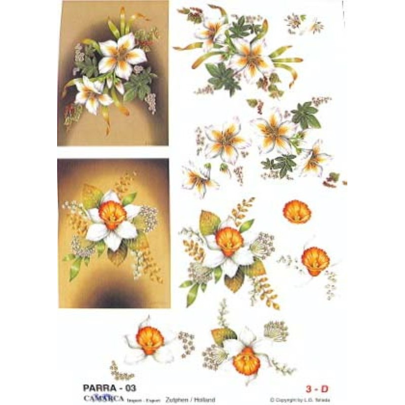 Carte 3D à découper - PARRA 03 - Fleurs blanches
