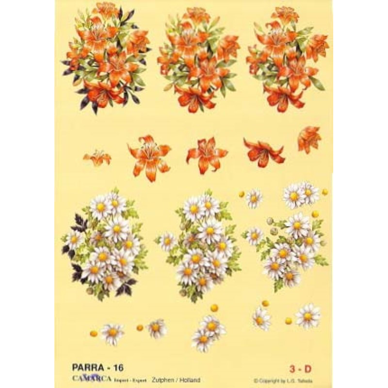 Carte 3D à découper - PARRA 16 - Bouquets oranges/blancs