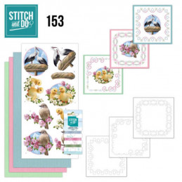 Stitch and do 153 - kit Carte 3D broderie - Oiseaux au printemps