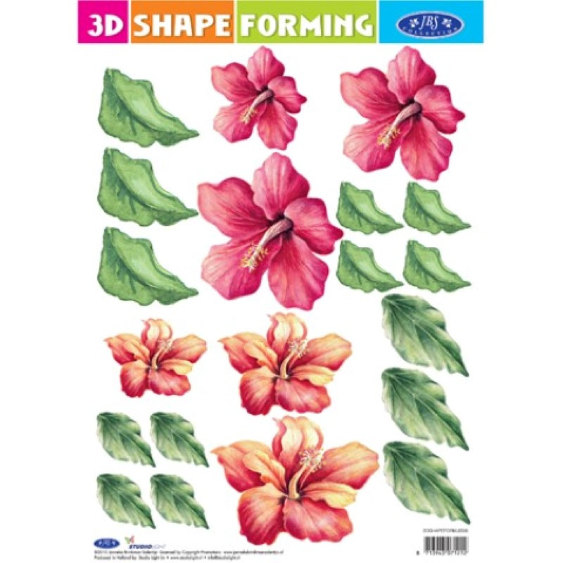 3D Shape forming prédécoupé -  Hibiscus bicolore