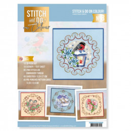 Stitch and Do on Colour 008 - Kit Carte 3D à broder de couleur Oiseaux en hiver