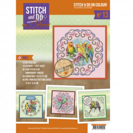 Stitch and Do on Colour 013 - Kit Carte 3D à broder de couleur - Oiseaux colorés