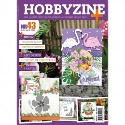 Hobbyzine Plus n°43 + JAD10134 offerte