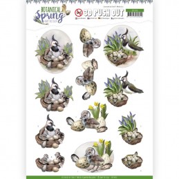 Carte 3D prédéc. - SB10436 - Botanical spring - Oiseaux et Oeufs