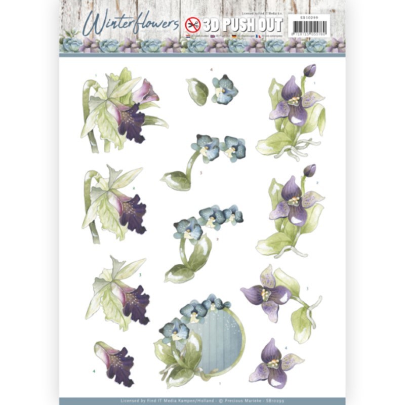 Carte 3D prédéc. - SB10299 - Winter Flowers - Orchidées