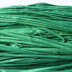 Raphia vegetal vert jade 42