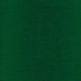 Carte 14.5 x 21 cm uni Vert Noël paquet de 10