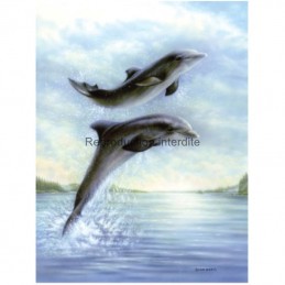 Image pour tableaux 3D - gk2430001 - 24x30 - dauphins