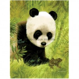 Image pour tableaux 3D - gk2430011 - 24x30 - panda