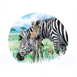 Image pour tableaux 3D - gk2430015 - 24x30 - Famille de Zèbres