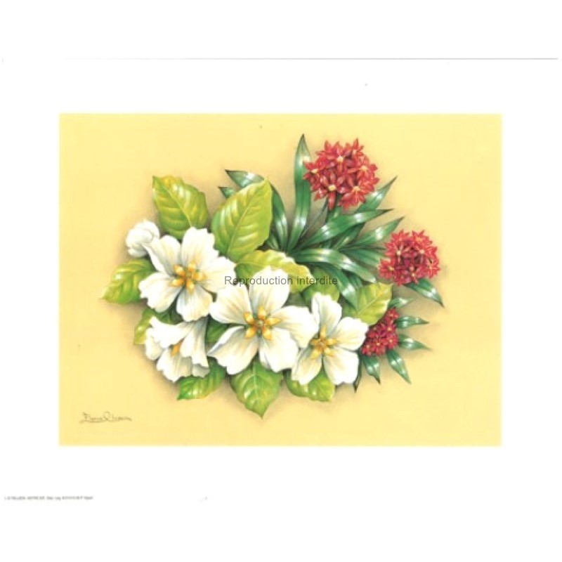 Image 3D astro 525 - 24x30 - bouquet rouge/blanc