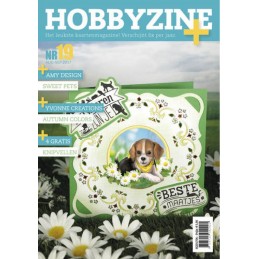 Hobbyzine Plus n°19 + Die  offerte