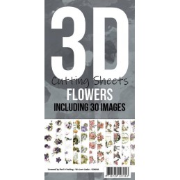 Cartes 3D à découper Pack 30 images assortiment N°3 - CDK003