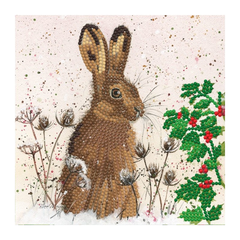 Carte Broderie Diamant - Lapin - BMSA42