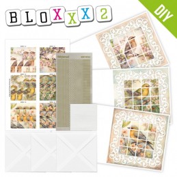 Kit Bloxxx 2 - kit Carte 3D  - Oiseaux de printemps