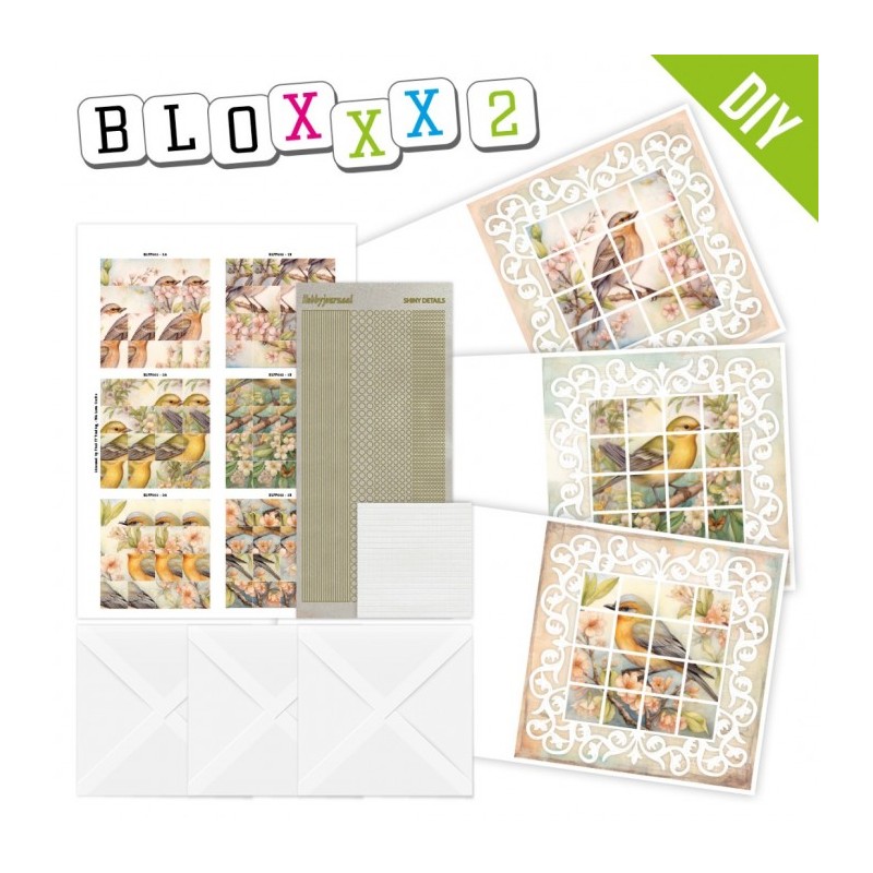 Kit Bloxxx 2 - kit Carte 3D  - Oiseaux de printemps