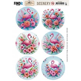 Carte Scène prédéc. - BBSC10091 - Flamands roses - rondes
