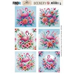 Carte Scène prédéc. - BBSC10092 - Flamands roses - carrées