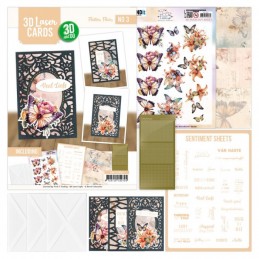 Kit 3 cartes laser n°3 - 3DLC10003 - Papillons