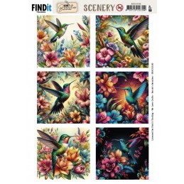 Carte Scène prédéc. - BBSC10100 - Colibris vintage - carrés