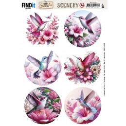 Carte Scène prédéc. - BBSC10103 - Colibris pastels - rondes