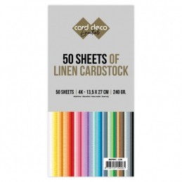 Pack 50 Cartes 13.5 x 27 cm multicolores
