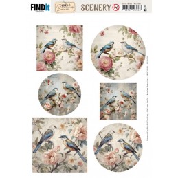 Carte Scène prédéc. - BBSC10105 - Oiseaux sur fleurs - rond et carré