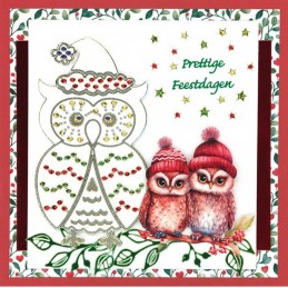 Carte 3D à découper - CD12384 - Animaux à Noël - Chouettes