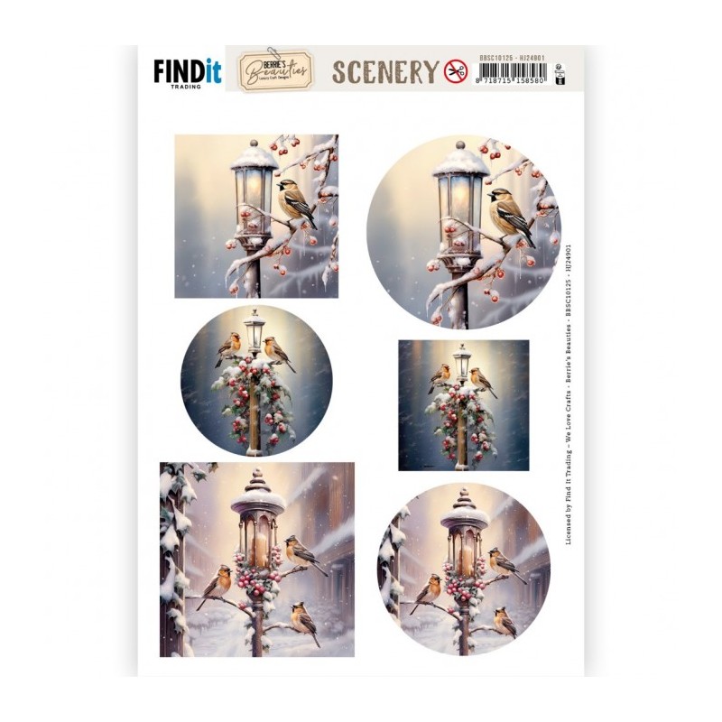 Carte Scène prédéc. - BBSC10125 - Oiseaux en hiver - rondes et carrées