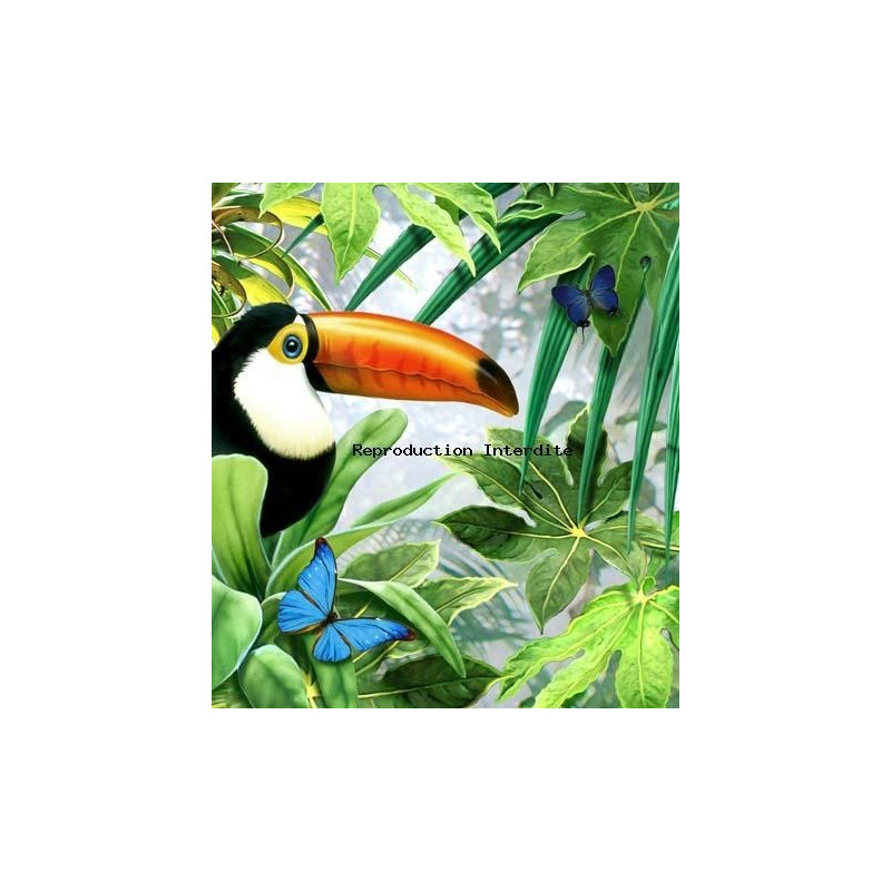 Image pour tableaux 3D format 30x40 cm Toucan GK3040011