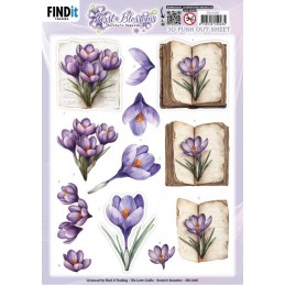 Carte 3D prédéc. - SB11085 - Premières Fleurs - Contes fleuris