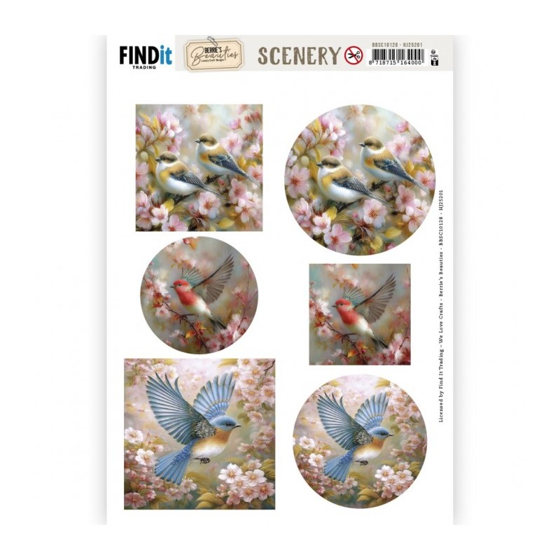 Carte Scène prédéc. - BBSC10128 - Oiseaux - rondes et carrées