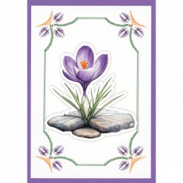 Stitch and Do Livre n°35 - Kit 6 Cartes 3D à broder - Fleurs de printemps