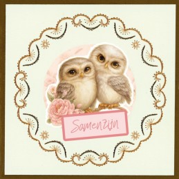 Kit Carte 3D à broder de couleur - Stitch and Do on Colour 039 - Toujours Chouettes