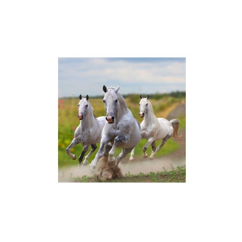 Image pour tableaux 3D GK3030011 Format 30x30 cm les 3 chevaux blancs