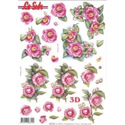 Carterie 3D Prédécoupée - Roses