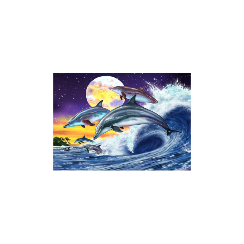 Image pour tableaux 3D GK3040006 Dauphins 30x40 cm