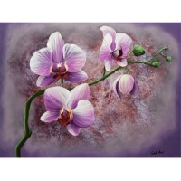 Images 3D sur les fleurs Format 30x40 cm