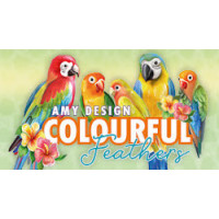 Oiseaux colorés - Colorfull feathers